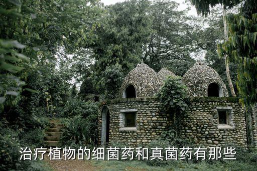 花草生菌用什么代替農藥,花草很多用什么成語來代替