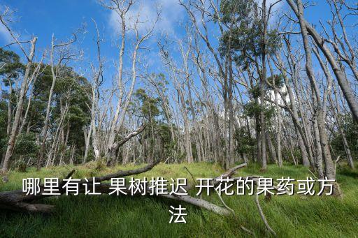 什么農(nóng)藥能要果樹(shù)不開(kāi)花,果樹(shù)打什么農(nóng)藥,啥時(shí)候打