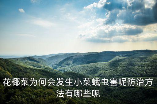 花菜青蟲用什么農藥,花菜容易生什么蟲