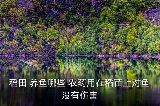 養魚放什么農藥,家中養魚放什么位置合適