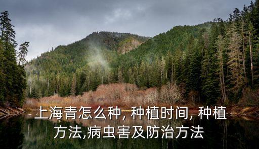  上海青怎么種, 種植時(shí)間, 種植方法,病蟲害及防治方法