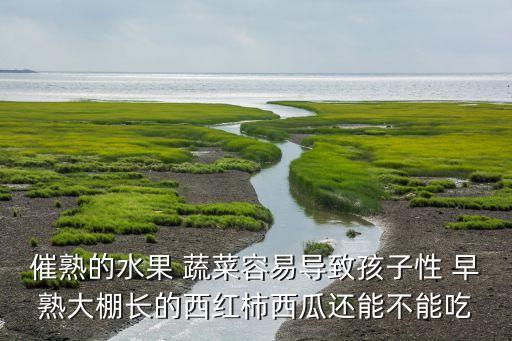 催熟的水果 蔬菜容易導致孩子性 早熟大棚長的西紅柿西瓜還能不能吃