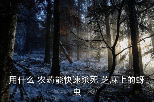用什么 農(nóng)藥能快速殺死 芝麻上的蚜蟲