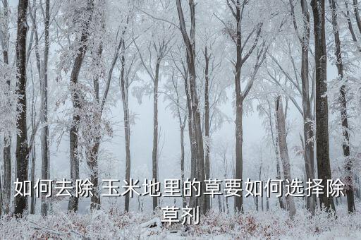 如何去除 玉米地里的草要如何選擇除草劑
