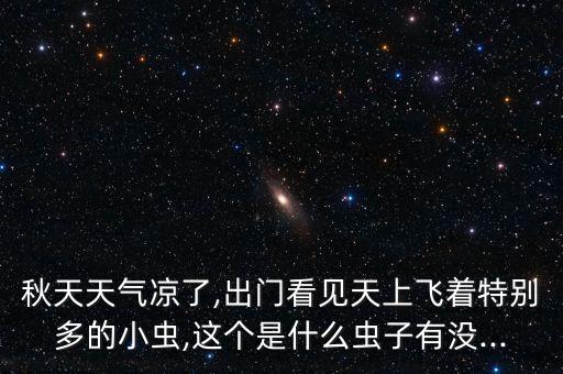 秋天天氣涼了,出門看見天上飛著特別多的小蟲,這個(gè)是什么蟲子有沒...