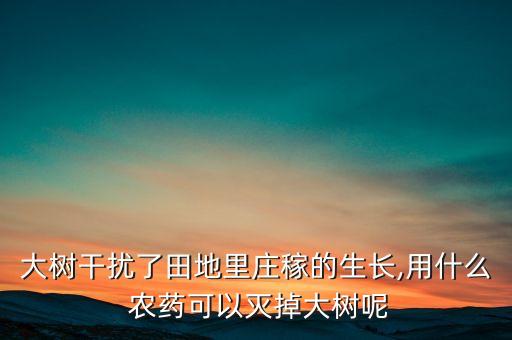大樹干擾了田地里莊稼的生長,用什么 農(nóng)藥可以滅掉大樹呢