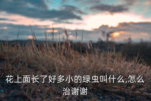 花上面長了好多小的綠蟲叫什么,怎么治謝謝