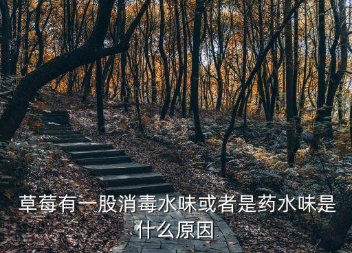  草莓有一股消毒水味或者是藥水味是什么原因