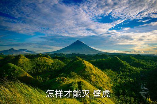 怎樣才能滅 壁虎