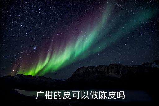  廣柑的皮可以做陳皮嗎