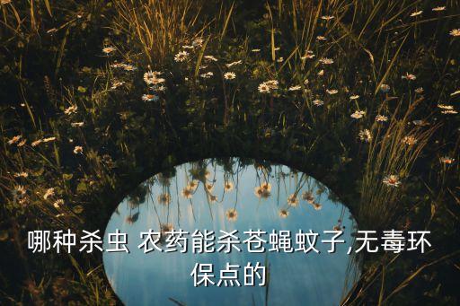 哪種殺蟲 農藥能殺蒼蠅蚊子,無毒環保點的
