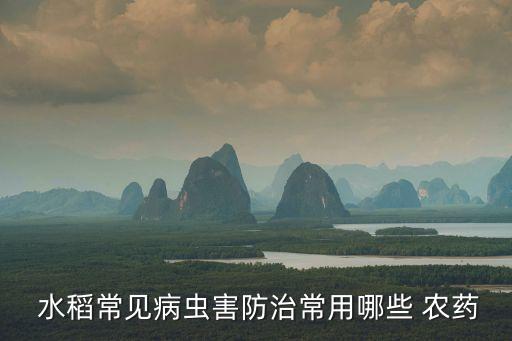 水稻吐穗用什么農藥,水稻農藥什么時間打效果最好
