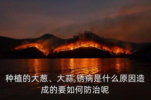 種植的大蔥、大蒜,銹病是什么原因造成的要如何防治呢