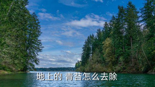 地上的 青苔怎么去除