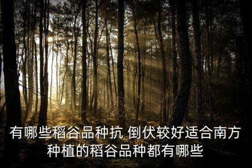打什么農藥水稻不倒伏,什么農藥對水稻傷害最大