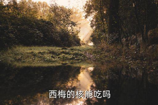  西梅的核能吃嗎
