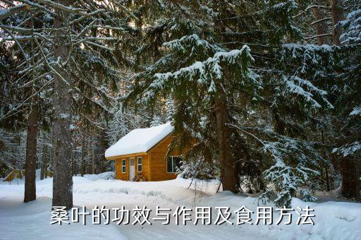 什么農(nóng)藥能治桑葉,桑葉治什么病最好最快