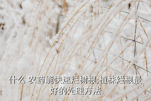 什么 農藥能快速爛樹根,植株爛根最好的處理方法