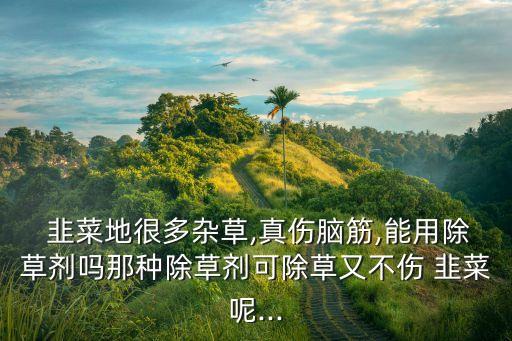  韭菜地很多雜草,真?zhèn)X筋,能用除草劑嗎那種除草劑可除草又不傷 韭菜呢...
