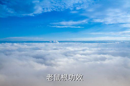 什么農(nóng)藥能消滅貓兒刺鼠