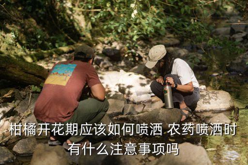 柑桔現在噴什么農藥,柑桔自動化噴農藥