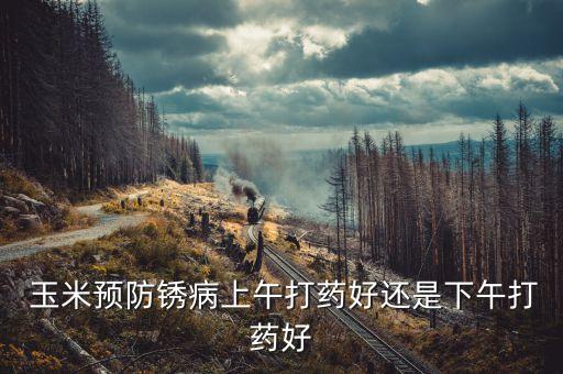 玉米預防銹病上午打藥好還是下午打藥好