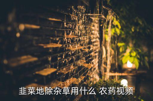 韭菜地除雜草用什么 農(nóng)藥視頻