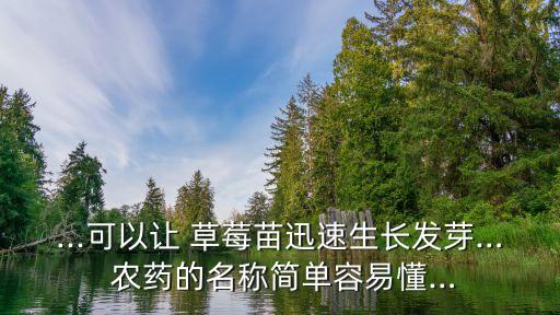 ...可以讓 草莓苗迅速生長發(fā)芽… 農(nóng)藥的名稱簡單容易懂…