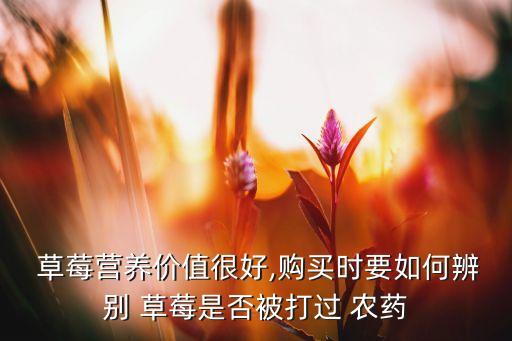  草莓營養價值很好,購買時要如何辨別 草莓是否被打過 農藥