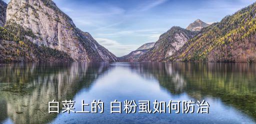 螨蟲白粉虱用什么農(nóng)藥,什么農(nóng)藥可以殺死螨蟲