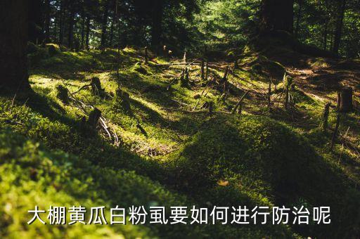 大棚黃瓜白粉虱要如何進(jìn)行防治呢