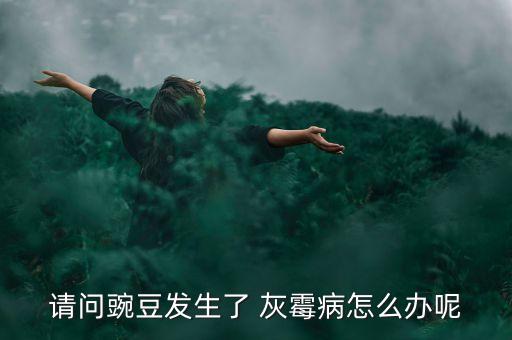 請問豌豆發生了 灰霉病怎么辦呢