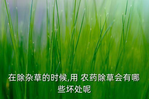 在除雜草的時候,用 農藥除草會有哪些壞處呢