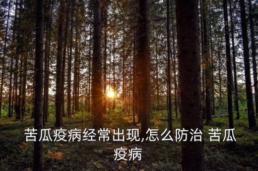  苦瓜疫病經常出現,怎么防治 苦瓜疫病