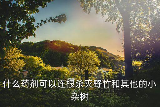 什么農藥可以殺死竹枯草,甲殼蟲用什么農藥殺死