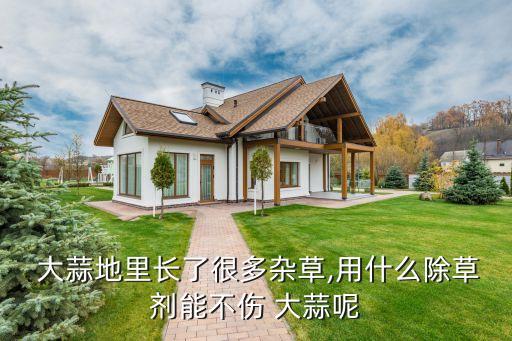 大蒜上打什么農藥最好使,大蒜味的農藥都是什么