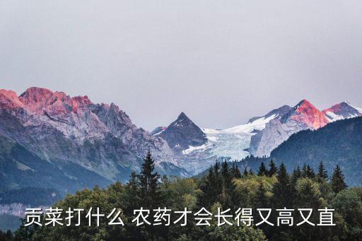 什么農(nóng)藥能促進(jìn)植物生長,植物枯萎病用什么農(nóng)藥?