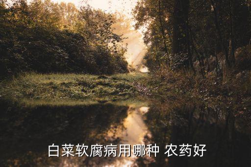  白菜軟腐病用哪種 農藥好