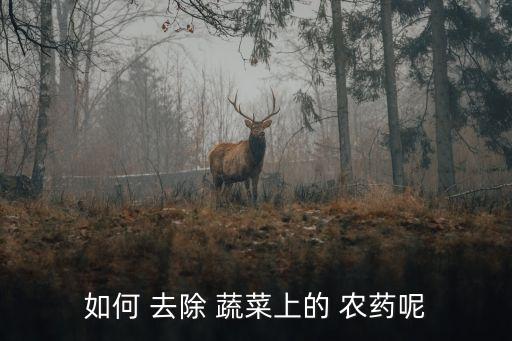 如何 去除 蔬菜上的 農藥呢
