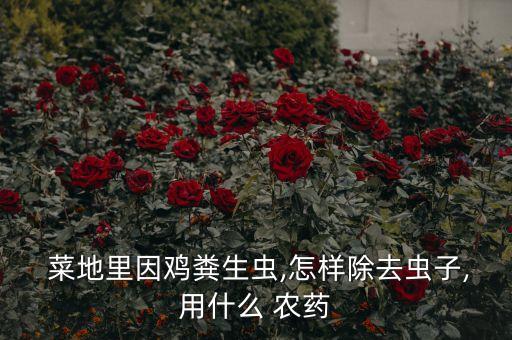 菜地噴什么農(nóng)藥好用視頻,菜地打農(nóng)藥什么時(shí)間打好