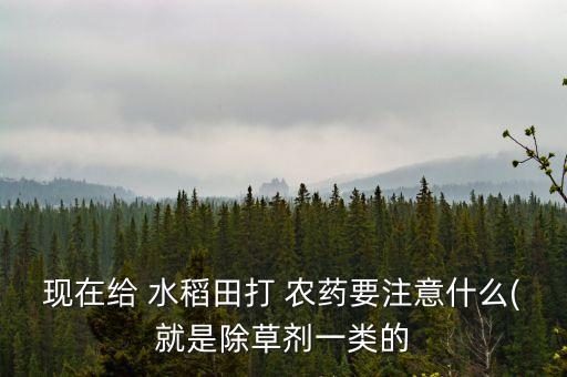 種水稻用什么代替農(nóng)藥,水稻農(nóng)藥什么時(shí)間打效果最好