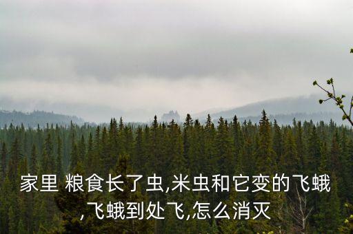 家里 糧食長了蟲,米蟲和它變的飛蛾,飛蛾到處飛,怎么消滅