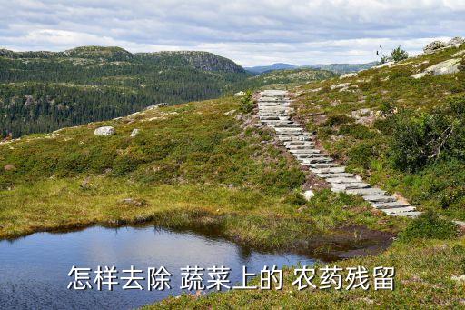 用什么清洗蔬菜農藥嗎,鹽水清洗蔬菜可以去除農藥嗎