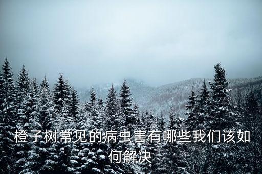  橙子樹常見的病蟲害有哪些我們該如何解決