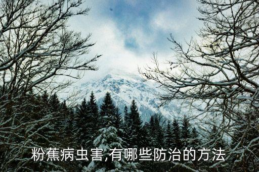 香蕉用什么農(nóng)藥殺蟲,打殺蟲農(nóng)藥什么時(shí)間打效果好