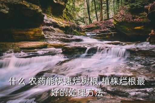 施什么農藥好使呢圖片,藤藤草圖片用什么農藥