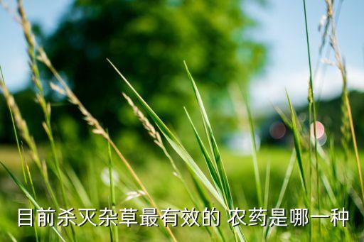 ,野外除草用什么農藥比較好