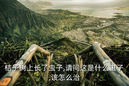 桔樹(shù)畫(huà)圖蟲(chóng)用什么農(nóng)藥,桔樹(shù)打什么農(nóng)藥