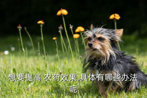 想要提高 農(nóng)藥效果,具體有哪些辦法呢