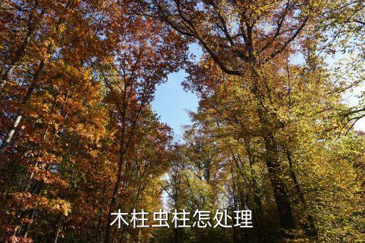 木柱蟲柱怎處理